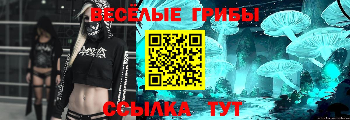 Псилоцибиновые грибы Psilocybe Обнинск